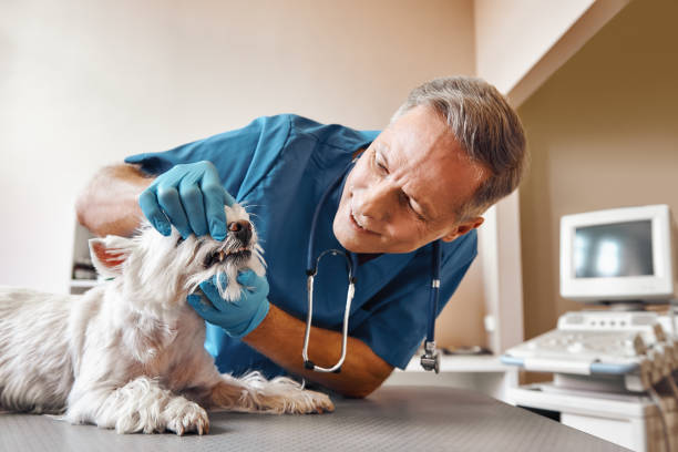 Best Emergency Dental Extractions in Fairfield, AL